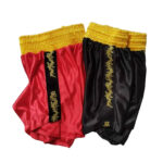 Professional Men's Quick Dry Sparring Shorts - Image 2